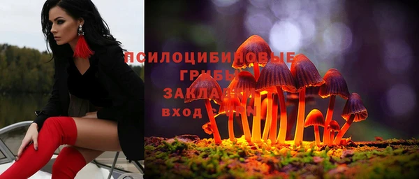 каннабис Ельня
