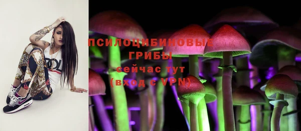 каннабис Ельня