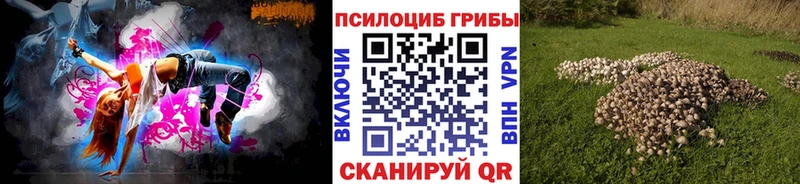 Галлюциногенные грибы GOLDEN TEACHER Купить Коркино